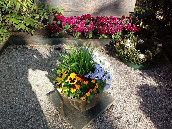 Grabbepflanzungen – Bild 1 von 25