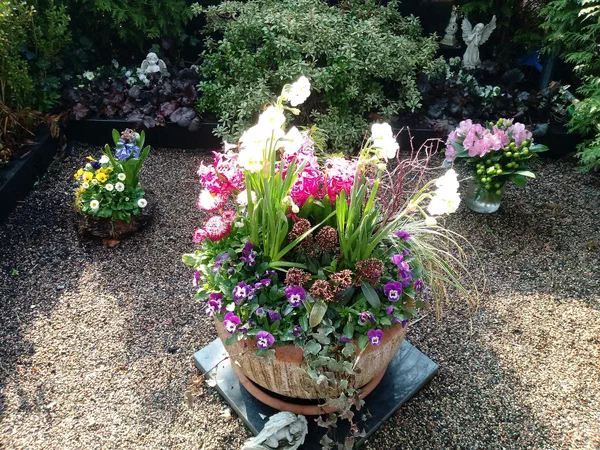 Grabbepflanzungen – Bild 3 von 25