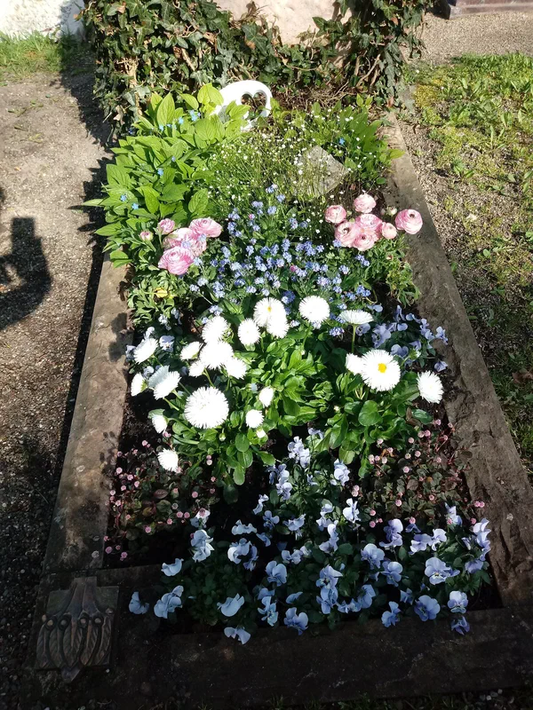 Grabbepflanzungen – Bild 4 von 25