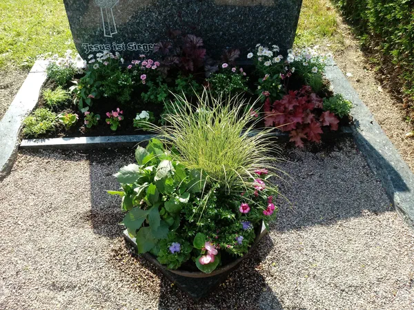 Grabbepflanzungen – Bild 5 von 25