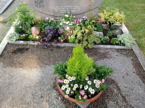 Grabbepflanzungen – Bild 6 von 25