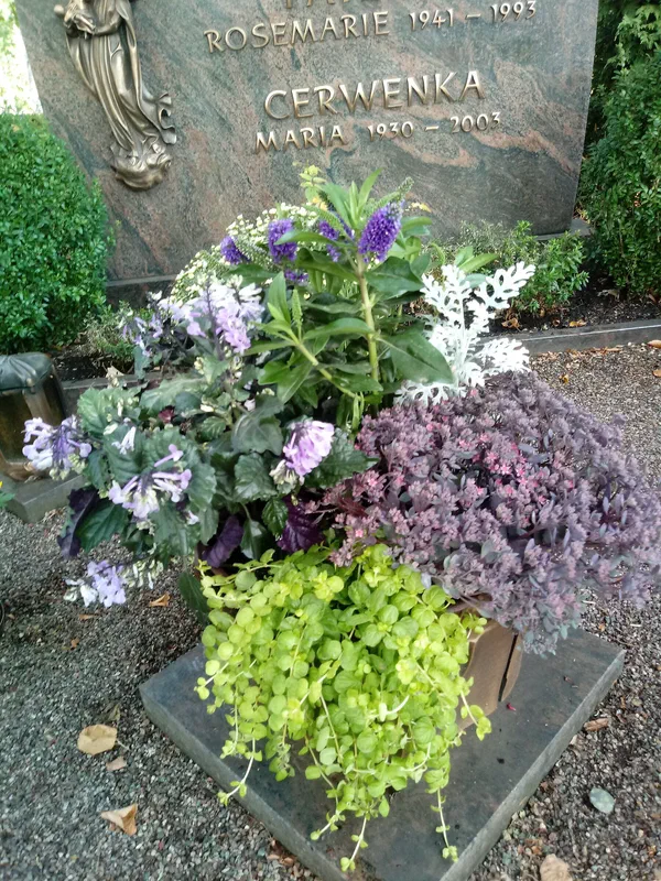 Grabbepflanzungen – Bild 7 von 25