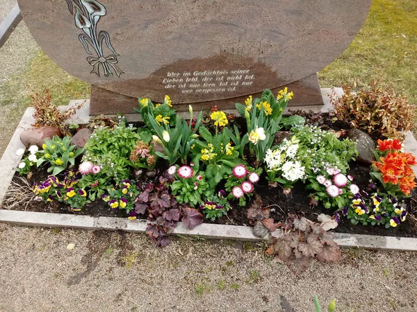 Grabbepflanzungen – Bild 9 von 25