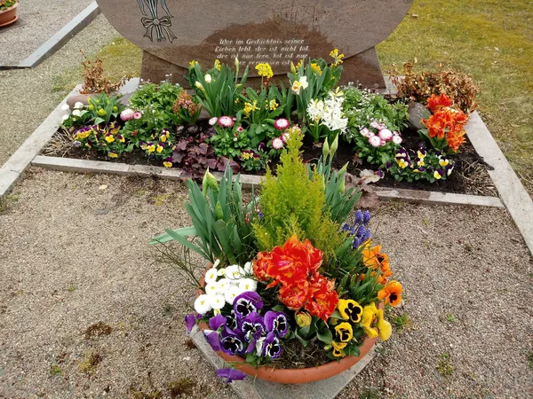 Grabbepflanzungen – Bild 10 von 25
