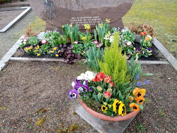 Grabbepflanzungen – Bild 11 von 25