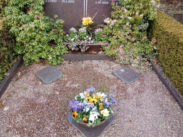 Grabbepflanzungen – Bild 15 von 25