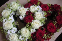 1-DSCN5267