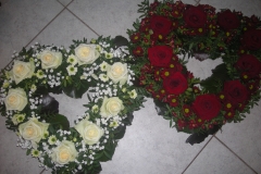1-DSCN8462