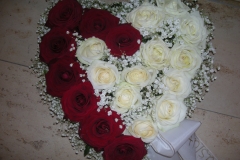 4-DSCN8926