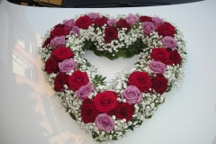 5-DSCN8930