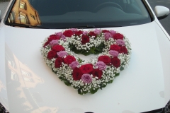6-DSCN8931