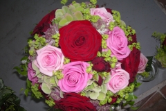 08-DSCN5192