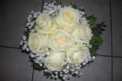 12-DSCN8465