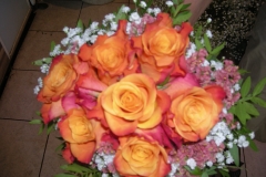 13-DSCN8917