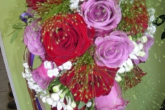15-DSCN8933
