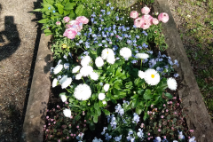 20180419_094059