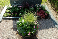 20180528_170930