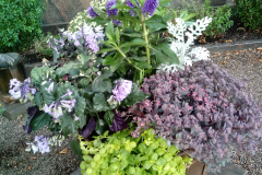 20180829_103950