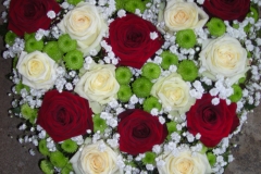 002-DSCN7709