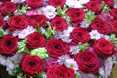 012-DSCN6344