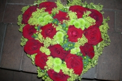 015-DSCN3907