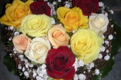 036-DSCN5344