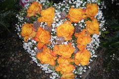 037-DSCN8400