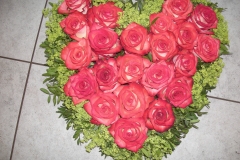 042-DSCN8838