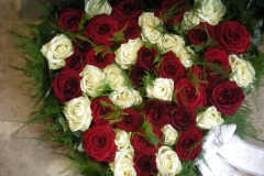 094-DSCN9779
