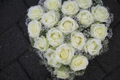097-DSCN9784