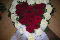 102-DSCN9789