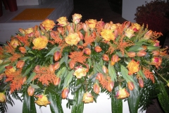 1-033-DSCN3353