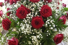 1-039-DSCN3480