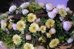 1-043-DSCN3791