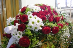 1-071-DSCN6443
