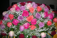1-089-DSCN7446