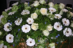 1-093-DSCN7724