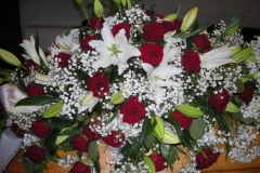 1-105-DSCN8371