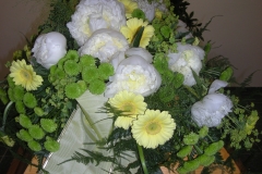 1-107-DSCN8825