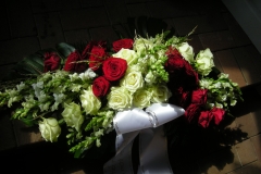 1-DSCN6581