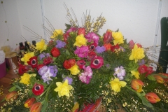 1-DSCN8566