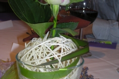 032-DSCN6761