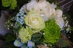 09-DSCN3613