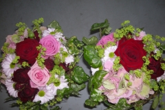 14-DSCN5193