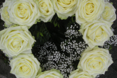 096-DSCN9783