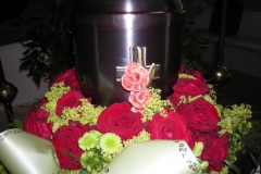 1-DSCN3909
