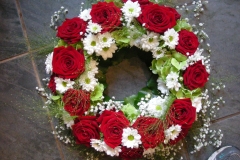 1-DSCN6737
