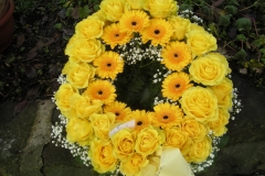 1-DSCN9785