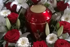 1-WP_20150218_003