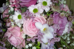 1-DSCN7682